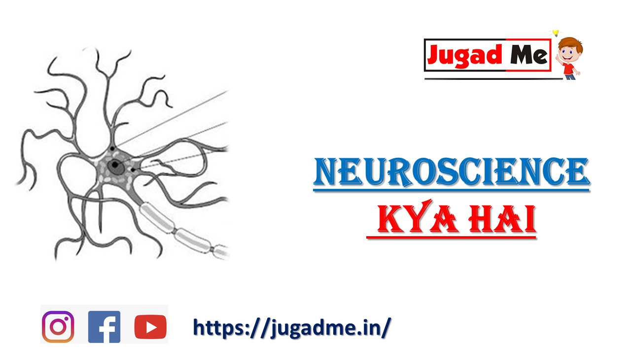 Read more about the article Neuroscience Kya hai