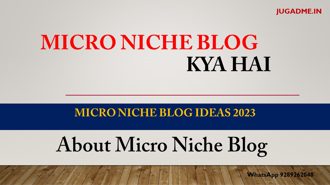 Micro Niche Blog Kya Hai - Micro Niche Blog Ideas 2023