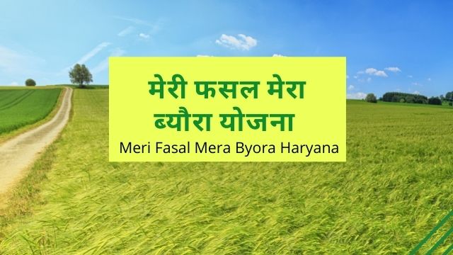 मेरी फसल मेरा ब्यौरा रजिस्ट्रेशन 2023 | Meri Fasal Mera Byora Online Registration (fasal.haryana.gov.in)