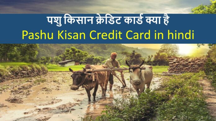 पशु किसान क्रेडिट कार्ड क्या है
