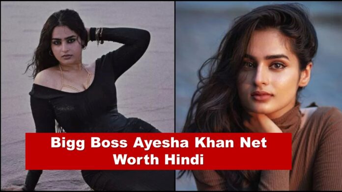 बिग बॉस आयेशा खान कुल संपत्ति कितनी है - Bigg Boss Ayesha Khan Net Worth Hindi
